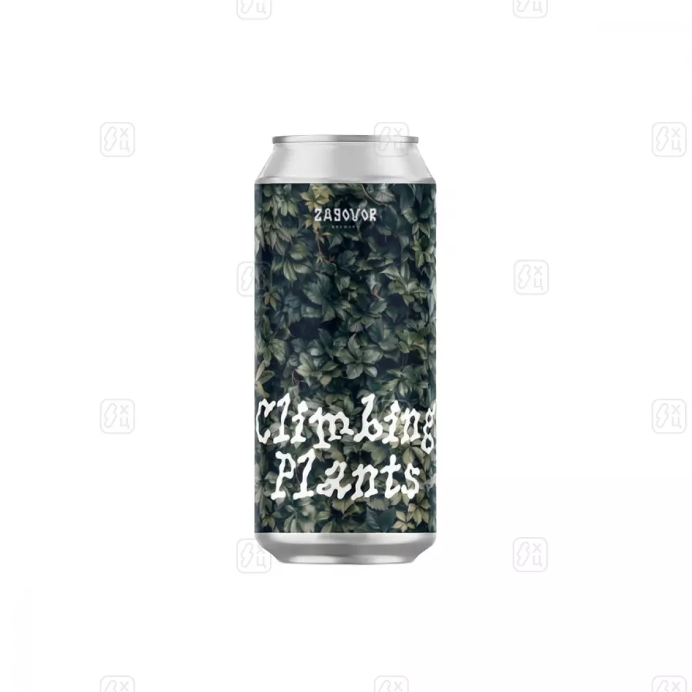 Пиво ZAGOVOR Клаймбинг Плэнтс, 6,5%, 0,45л.
